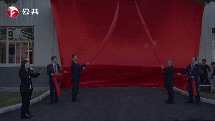 W020260204638259576799